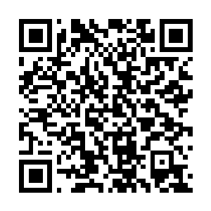 Link to your fundraiser QRCode - Fundraising