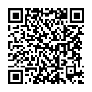Link to your fundraiser QRCode - Fundraising