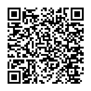 Link to your fundraiser QRCode - Fundraising