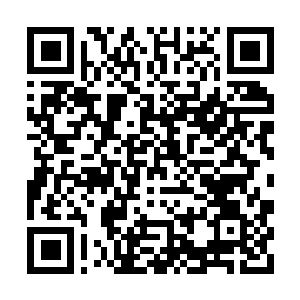Link to your fundraiser QRCode - Fundraising