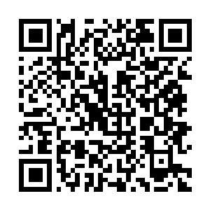 Link to your fundraiser QRCode - Fundraising