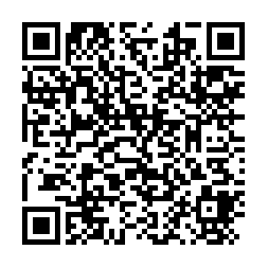 Link to your fundraiser QRCode - Fundraising