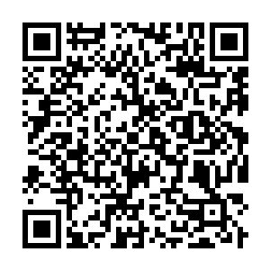 Link to your fundraiser QRCode - Fundraising