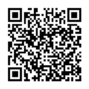 Link to your fundraiser QRCode - Fundraising