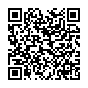 Link to your fundraiser QRCode - Fundraising