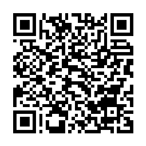 Link to your fundraiser QRCode - Fundraising