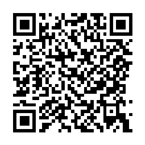 Link to your fundraiser QRCode - Fundraising