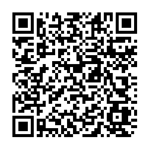Link to your fundraiser QRCode - Fundraising