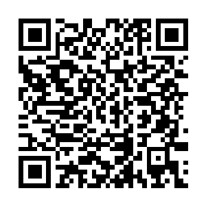 Link to your fundraiser QRCode - Fundraising