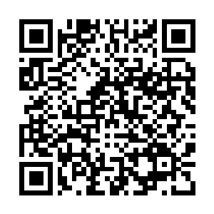 Link to your fundraiser QRCode - Fundraising