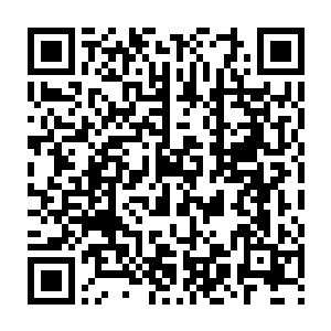 Link to your fundraiser QRCode - Fundraising
