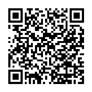 Link to your fundraiser QRCode - Fundraising