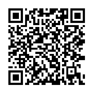 Link to your fundraiser QRCode - Fundraising