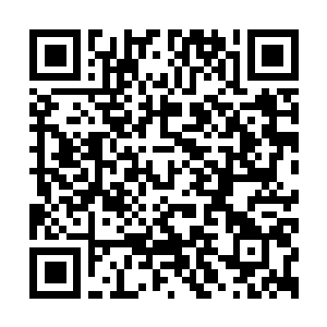 Link to your fundraiser QRCode - Fundraising