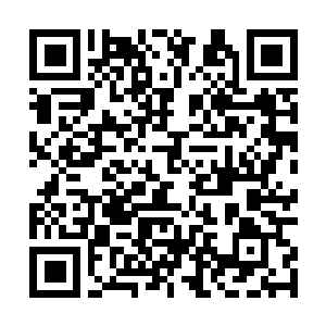 Link to your fundraiser QRCode - Fundraising