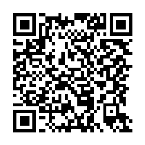 Link to your fundraiser QRCode - Fundraising