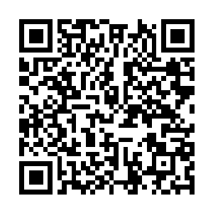 Link to your fundraiser QRCode - Fundraising
