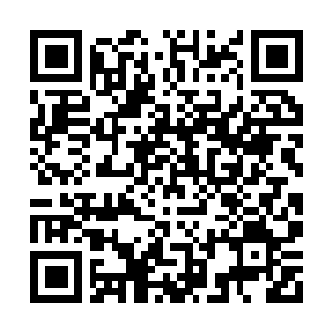 Link to your fundraiser QRCode - Fundraising