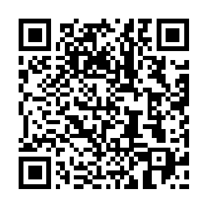 Link to your fundraiser QRCode - Fundraising
