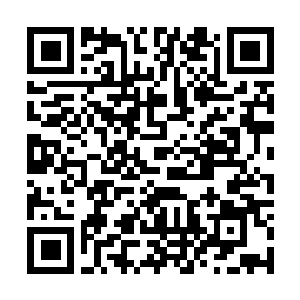 Link to your fundraiser QRCode - Fundraising