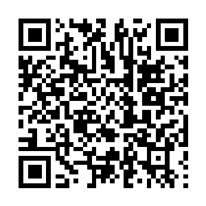 Link to your fundraiser QRCode - Fundraising