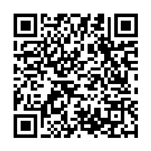 Link to your fundraiser QRCode - Fundraising