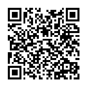 Link to your fundraiser QRCode - Fundraising
