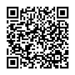 Link to your fundraiser QRCode - Fundraising