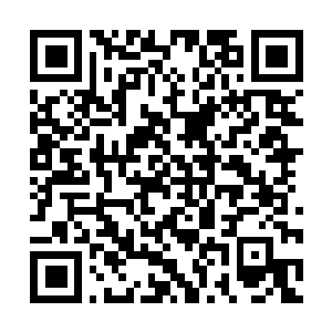 Link to your fundraiser QRCode - Fundraising