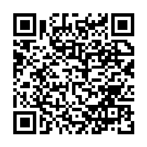Link to your fundraiser QRCode - Fundraising