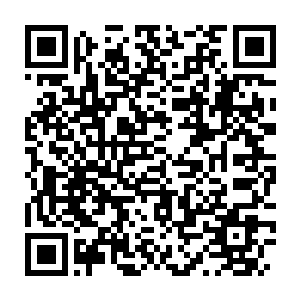 Link to your fundraiser QRCode - Fundraising