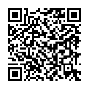 Link to your fundraiser QRCode - Fundraising