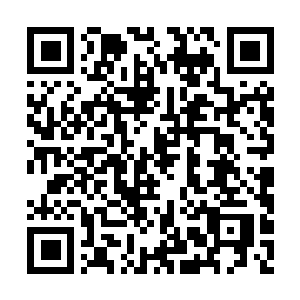 Link to your fundraiser QRCode - Fundraising