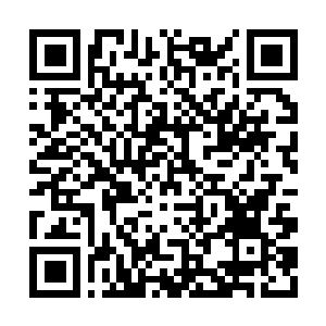 Link to your fundraiser QRCode - Fundraising