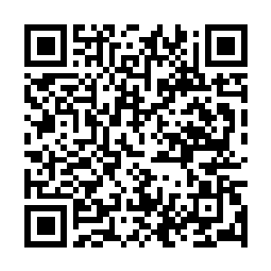 Link to your fundraiser QRCode - Fundraising