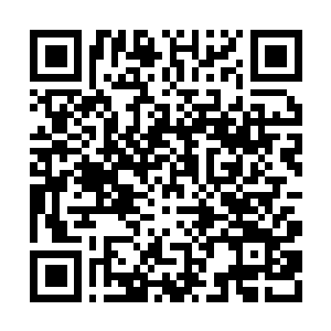 Link to your fundraiser QRCode - Fundraising