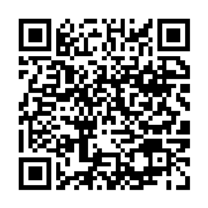 Link to your fundraiser QRCode - Fundraising