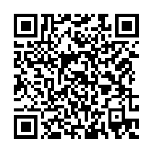 Link to your fundraiser QRCode - Fundraising