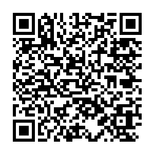 Link to your fundraiser QRCode - Fundraising