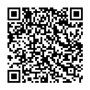 Link to your fundraiser QRCode - Fundraising