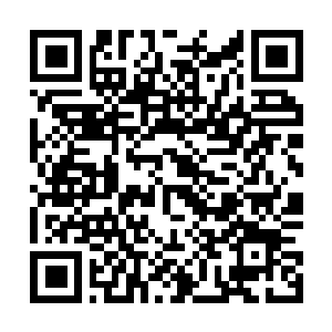 Link to your fundraiser QRCode - Fundraising