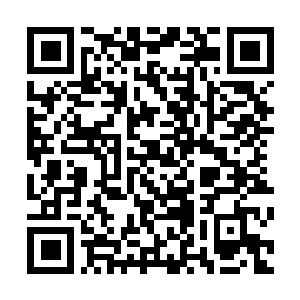 Link to your fundraiser QRCode - Fundraising