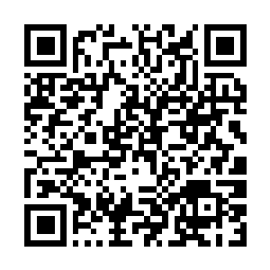 Link to your fundraiser QRCode - Fundraising