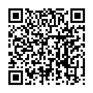 Link to your fundraiser QRCode - Fundraising