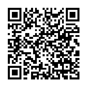 Link to your fundraiser QRCode - Fundraising