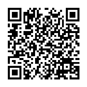 Link to your fundraiser QRCode - Fundraising