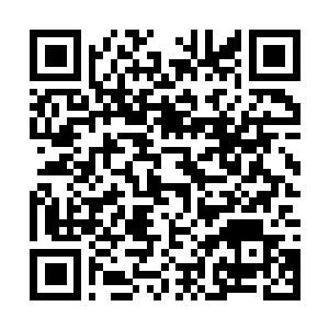 Link to your fundraiser QRCode - Fundraising