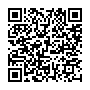 Link to your fundraiser QRCode - Fundraising
