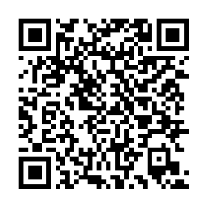 Link to your fundraiser QRCode - Fundraising