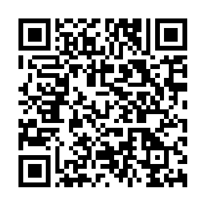 Link to your fundraiser QRCode - Fundraising